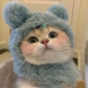 Mèo Meo Boiz