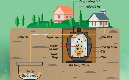 Bồn tự hoại đặt nổi hay chôn ngầm: chọn kiểu nào tối ưu?